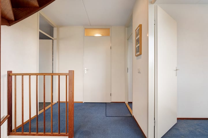 Foto 20 van Hondsroos 36