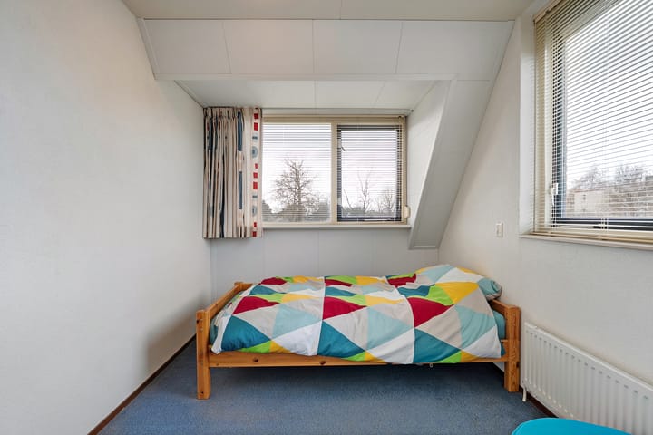 Foto 23 van Hondsroos 36