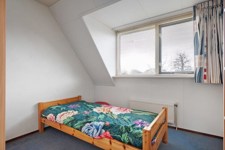 Foto 25 van Hondsroos 36