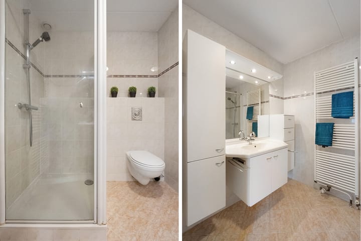 Foto 28 van Hondsroos 36