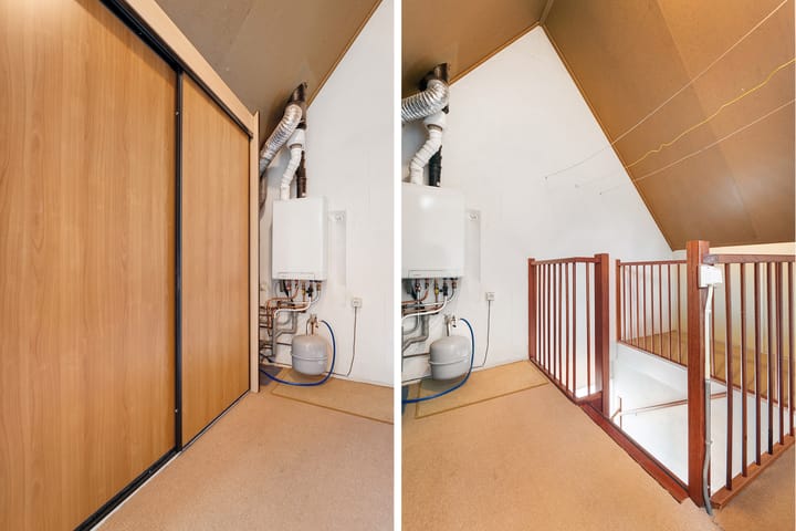 Foto 29 van Hondsroos 36