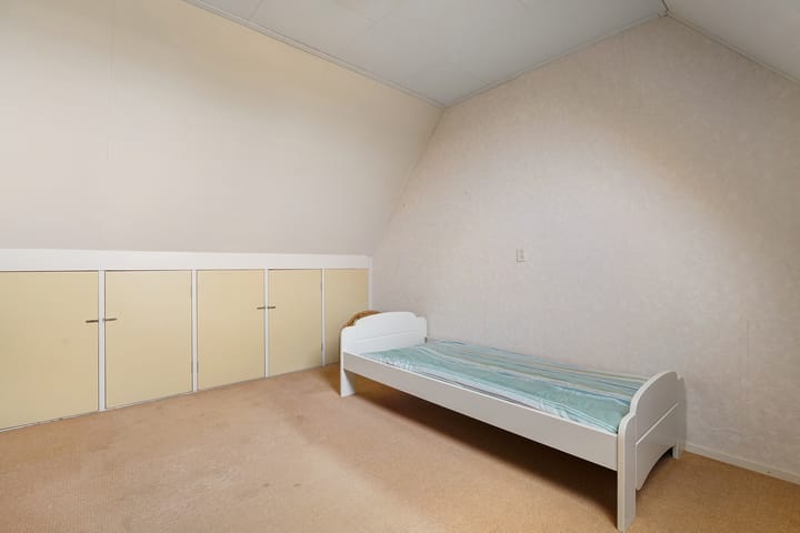 Foto 30 van Hondsroos 36