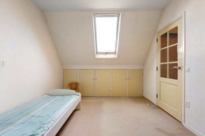 Foto 31 van Hondsroos 36