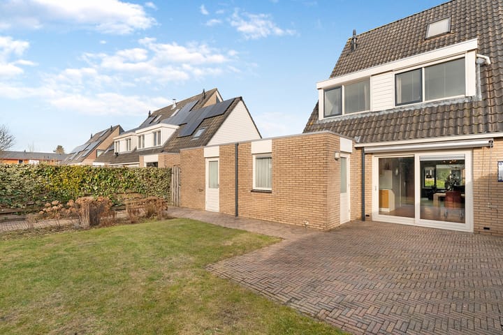 Foto 36 van Hondsroos 36