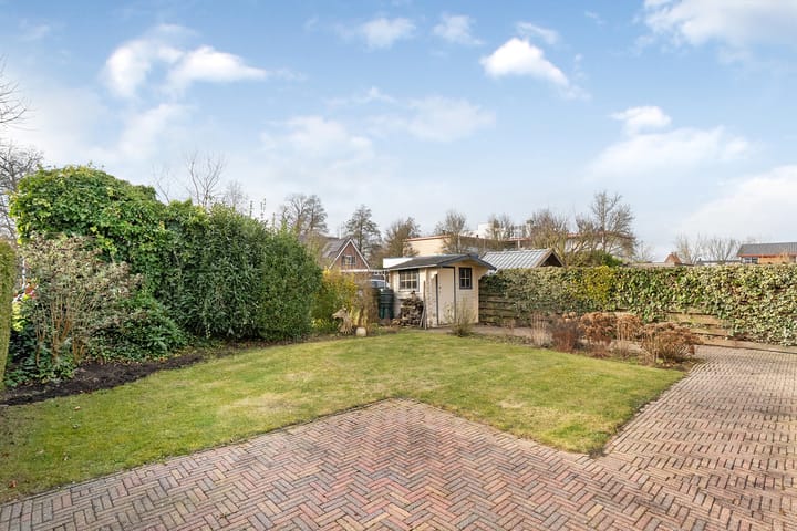 Foto 37 van Hondsroos 36