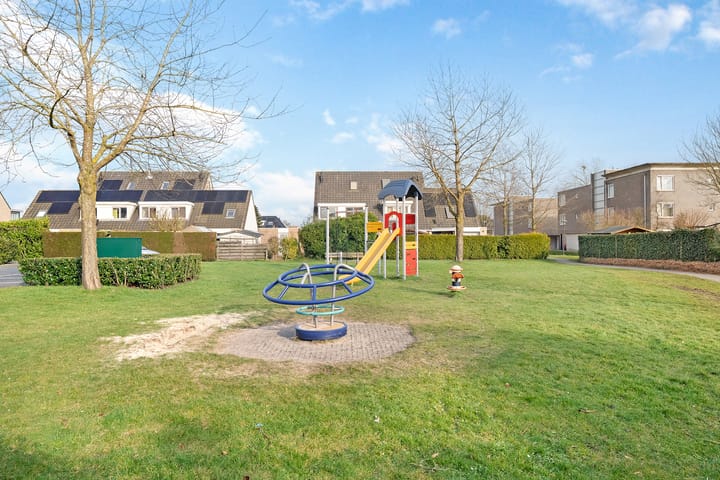 Foto 38 van Hondsroos 36