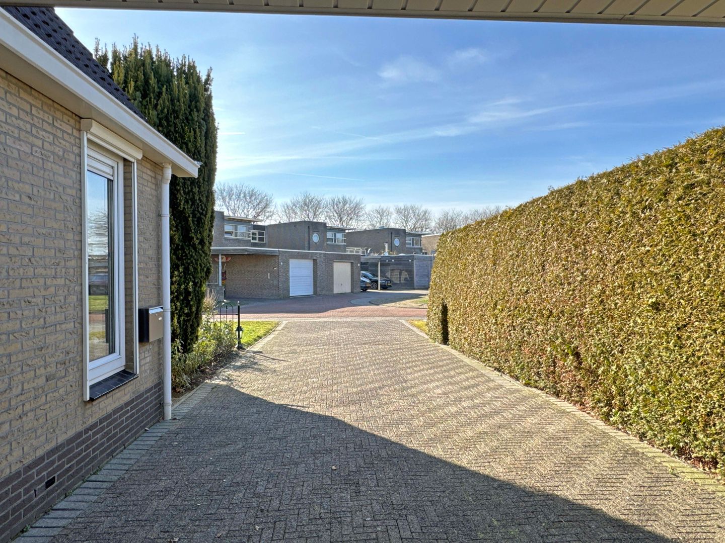 Photo 10 of Oliemolen 8