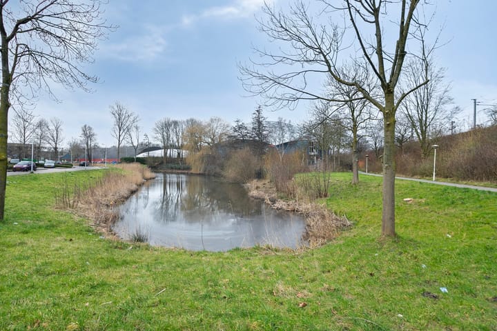 Foto 30 van Zalkerbos 198