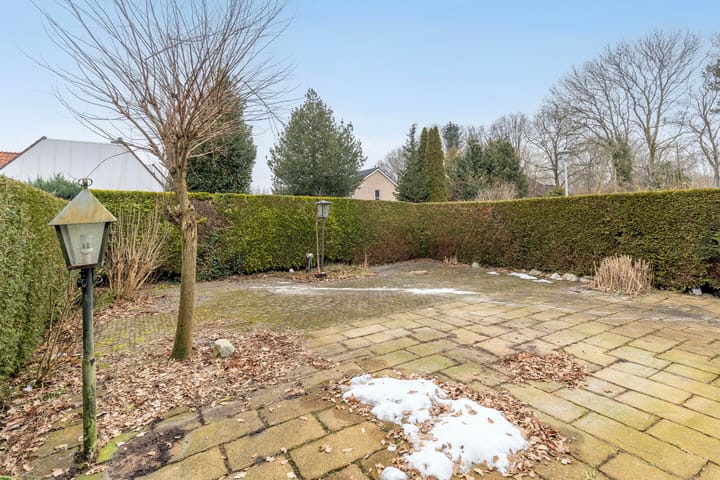 Foto 17 van Telstar 36