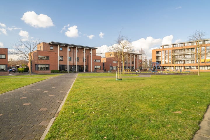 Foto 4 van Kokerjuffer 35