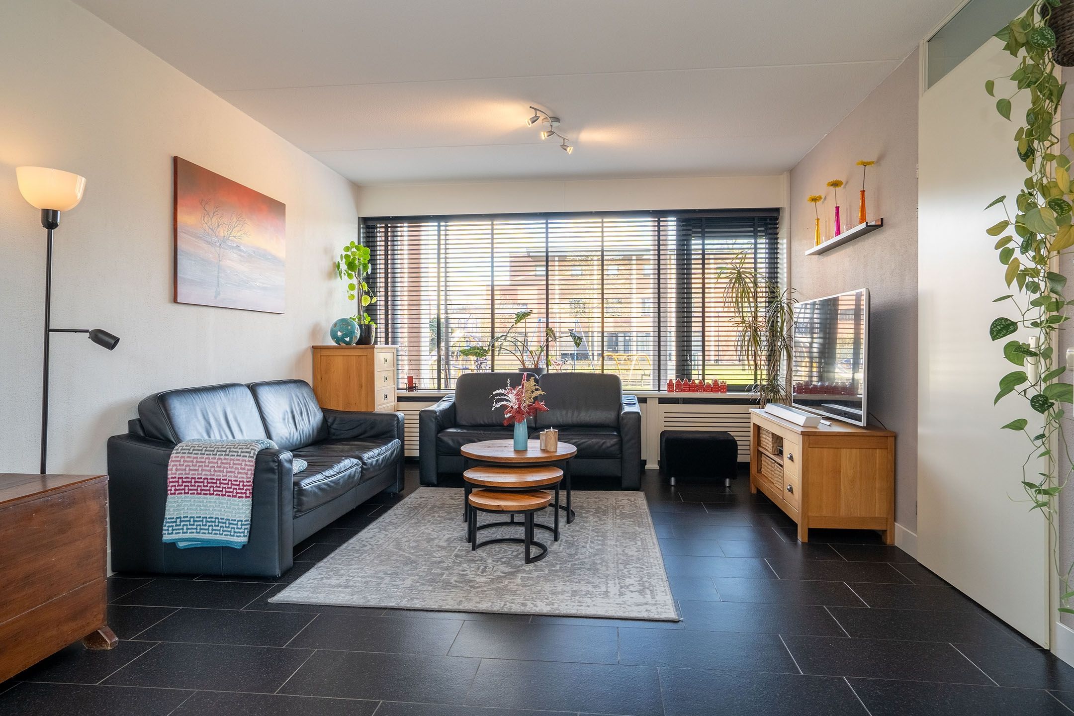 Foto 6 van Kokerjuffer 35