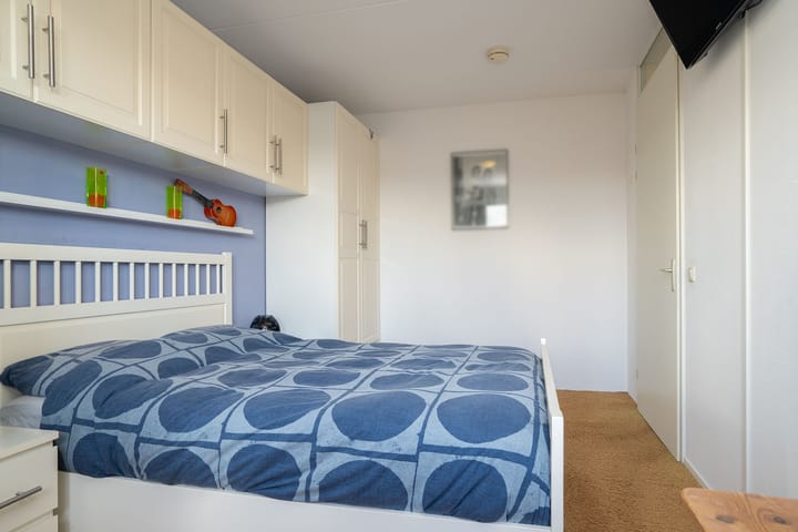 Foto 14 van Kokerjuffer 35