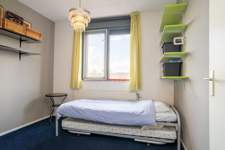 Foto 17 van Kokerjuffer 35