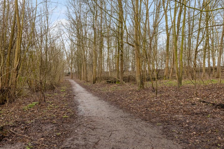 Foto 41 van Valkenburgsingel 142