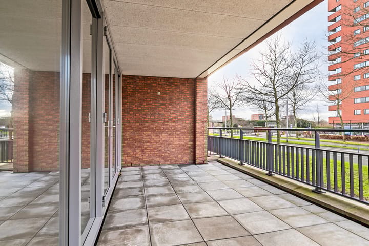 Foto 12 van Zalm 154