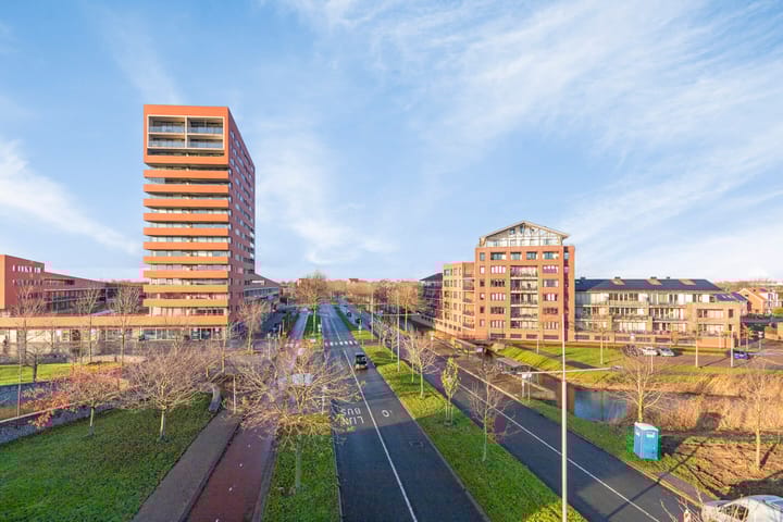 Foto 24 van Zalm 154