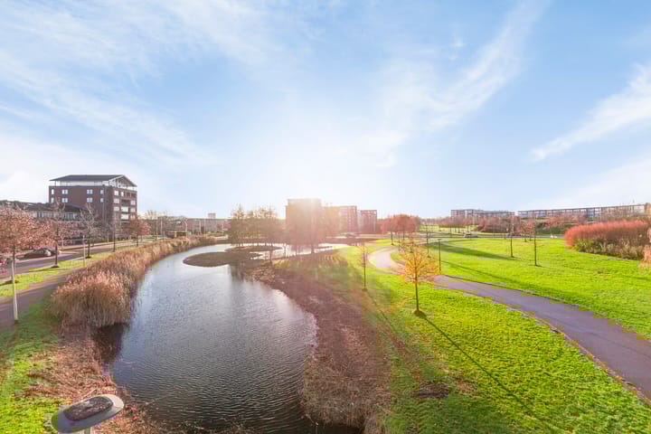 Foto 28 van Zalm 154