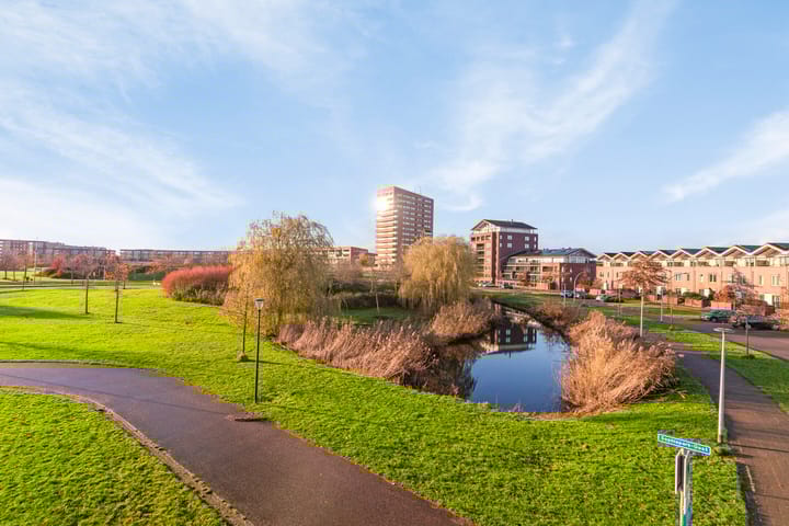 Foto 29 van Zalm 154