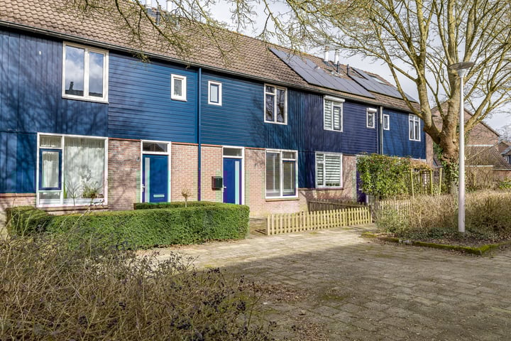Bekijk foto van Wolvenveen 26