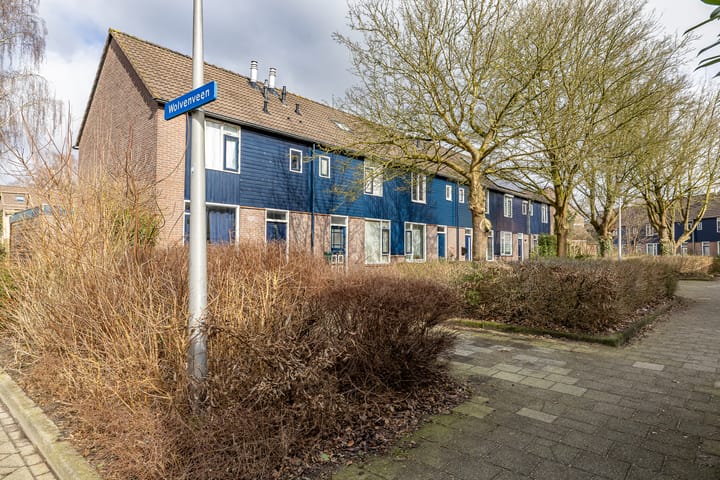 Foto 4 van Wolvenveen 26