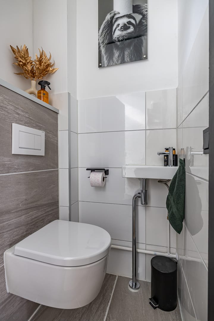 Foto 8 van Wolvenveen 26