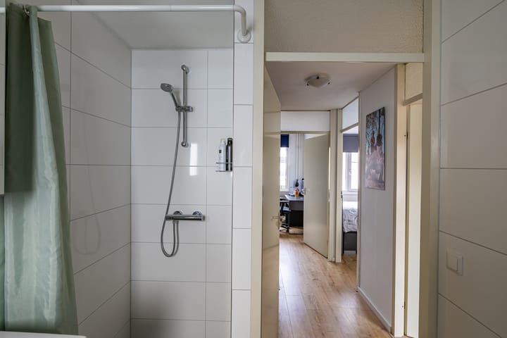 Foto 29 van Wolvenveen 26