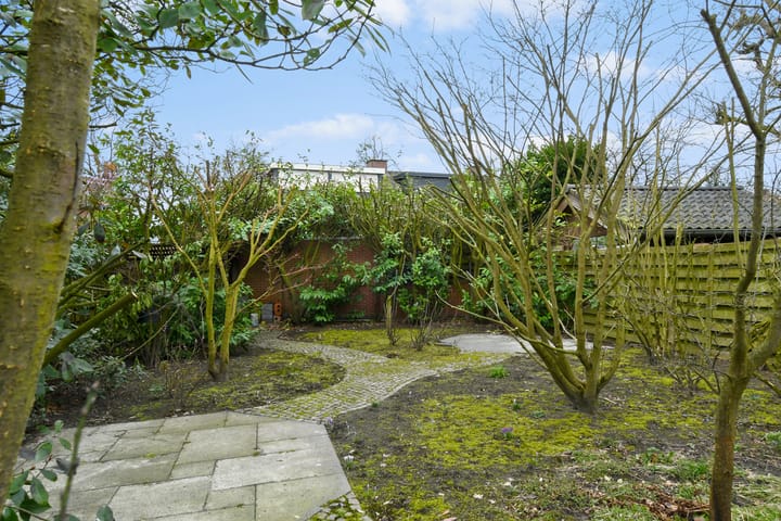 Foto 28 van Adelastraat 16