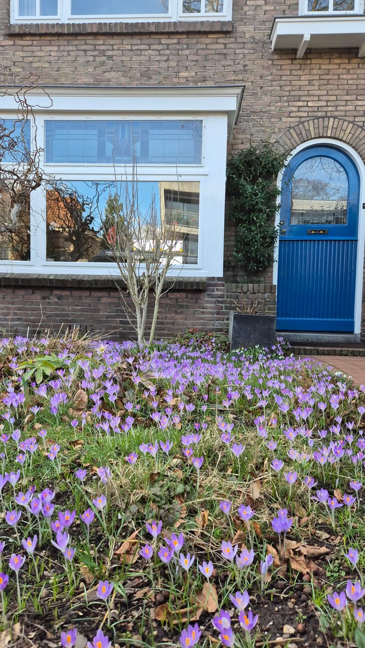 Photo 34 of Dobbelmannweg 50