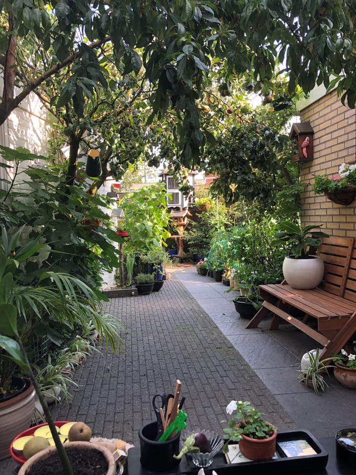 Photo 30 of Ordermolenweg 25