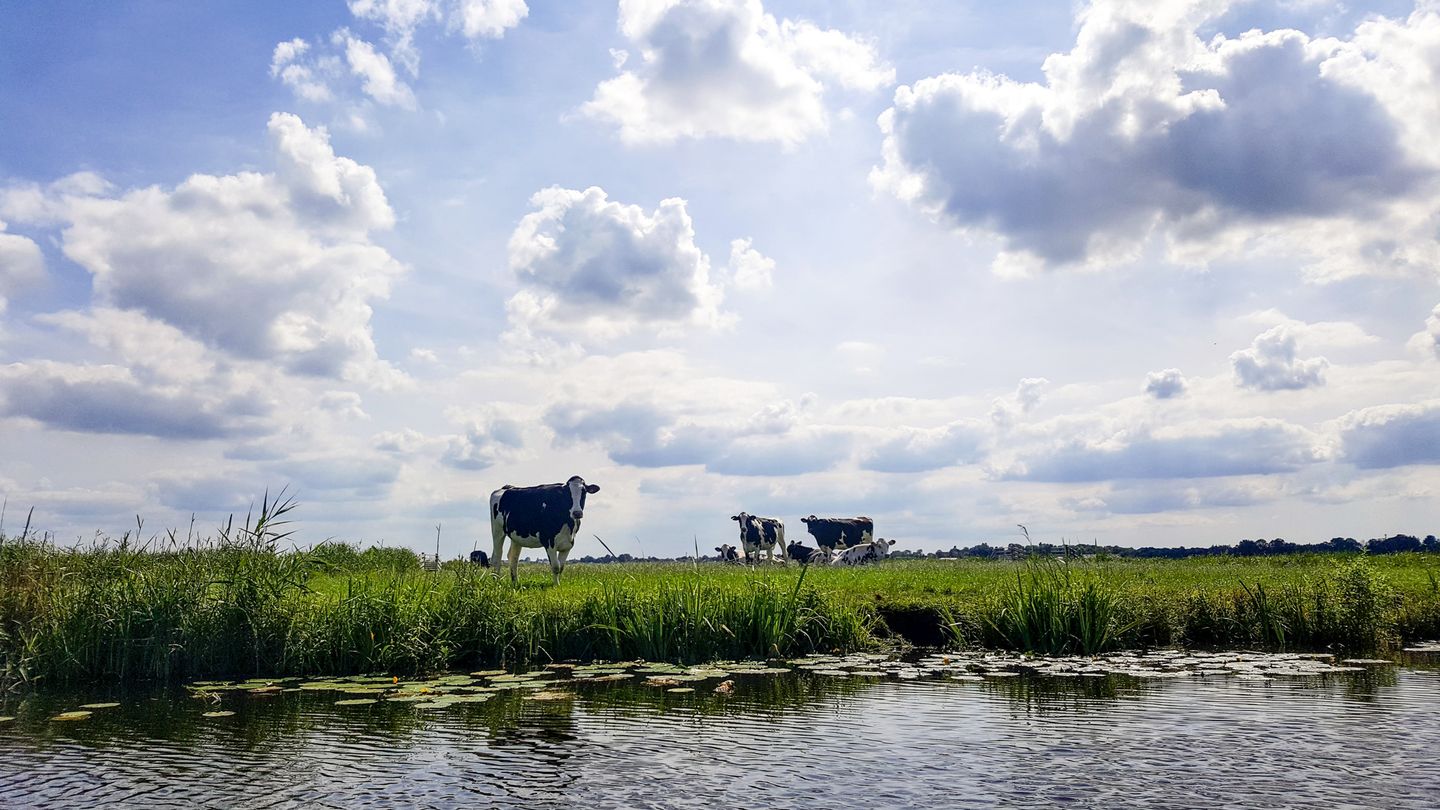 Foto 79 van Amstelkade 47