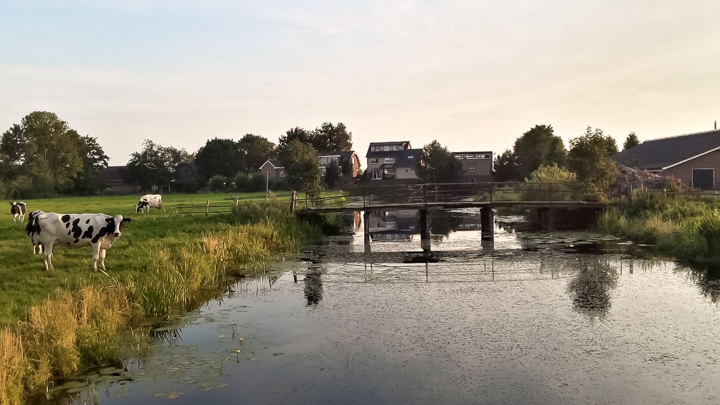 Foto 80 van Amstelkade 47