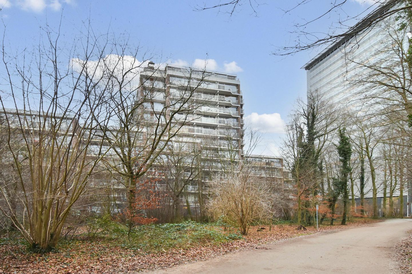 Foto 1 van Boslaan 203