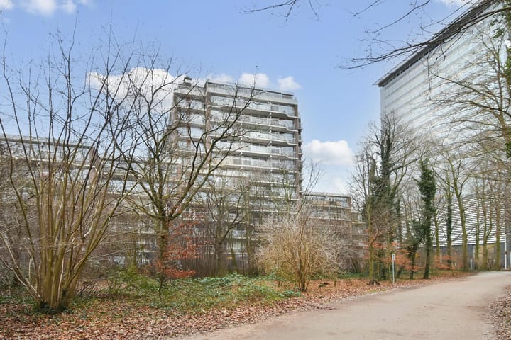 Foto 1 van Boslaan 203