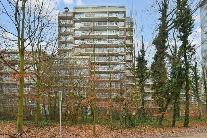 Foto 6 van Boslaan 203