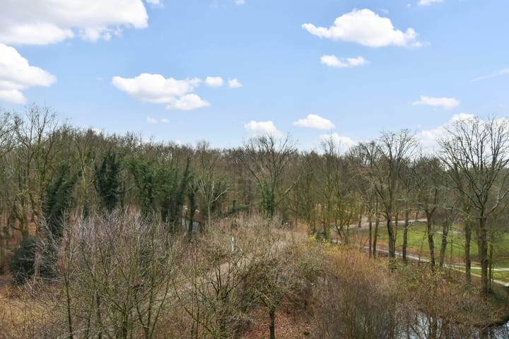 Foto 25 van Boslaan 203