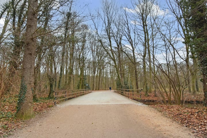 Foto 27 van Boslaan 203