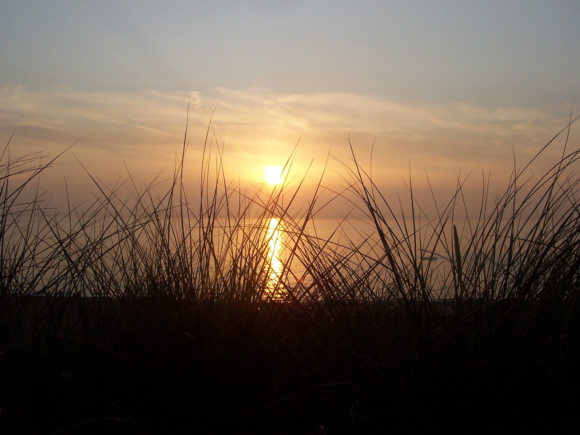 Foto 36 van De Gloode 8