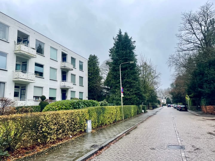 Foto 22 van Woudenbergseweg 40-E