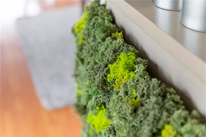 Foto 19 van Haven 26