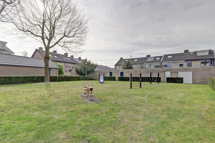 Foto 4 van Wolvespoor 25