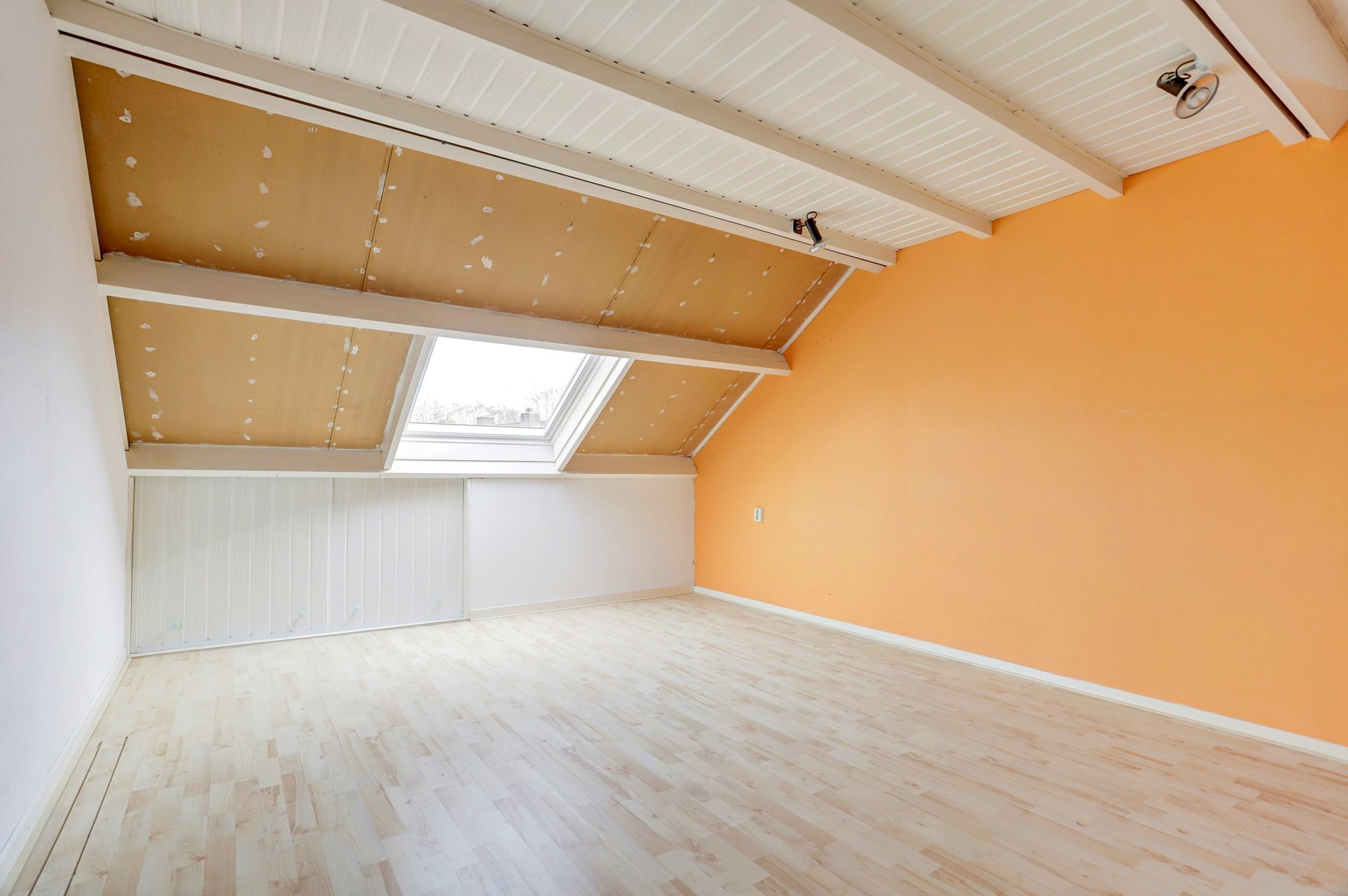 Foto 27 van Wolvespoor 25