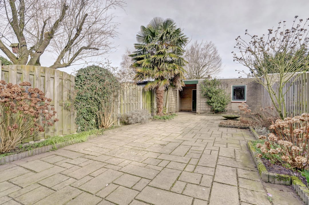 Foto 31 van Wolvespoor 25