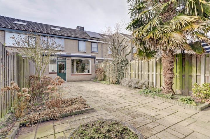 Foto 33 van Wolvespoor 25