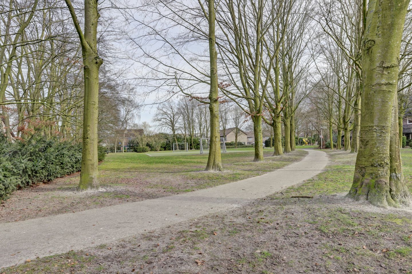 Foto 35 van Wolvespoor 25