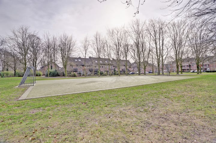 Foto 37 van Wolvespoor 25