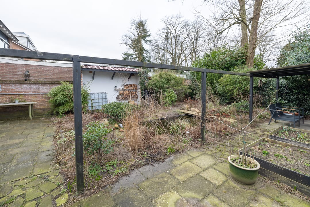 Foto 31 van Dennenhorst 24