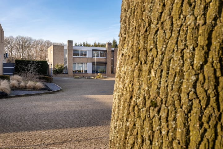 Foto 7 van Hoeferpark 16