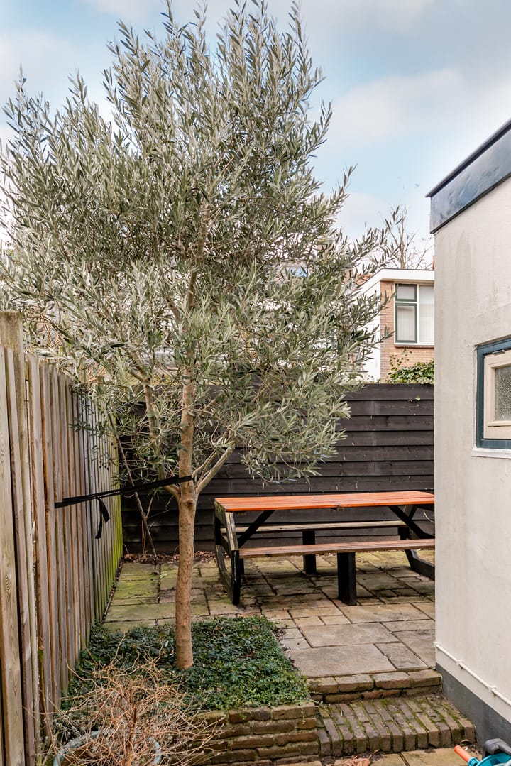 Foto 17 van Lotterstraat 11