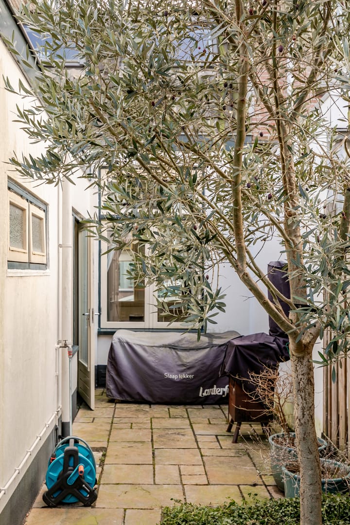 Foto 18 van Lotterstraat 11