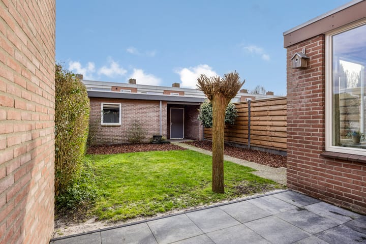 Foto 43 van Dr. H. Mollerstraat 21